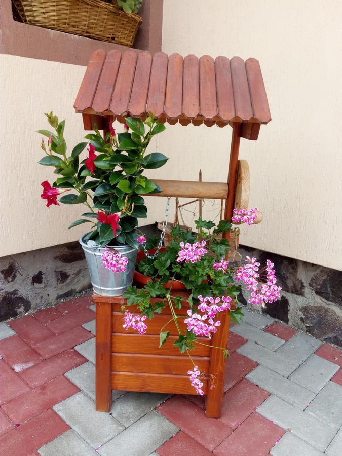 Hotel Casa Infinity Sovata Esterno foto